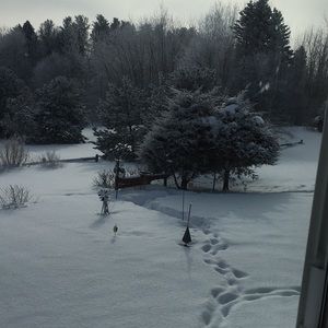 Meet your Posher, Donna